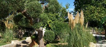 Agriturismo I Trulli di Zio Dino