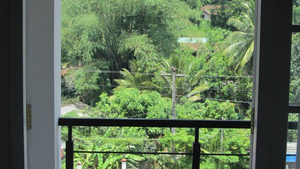 Vista desde la habitación