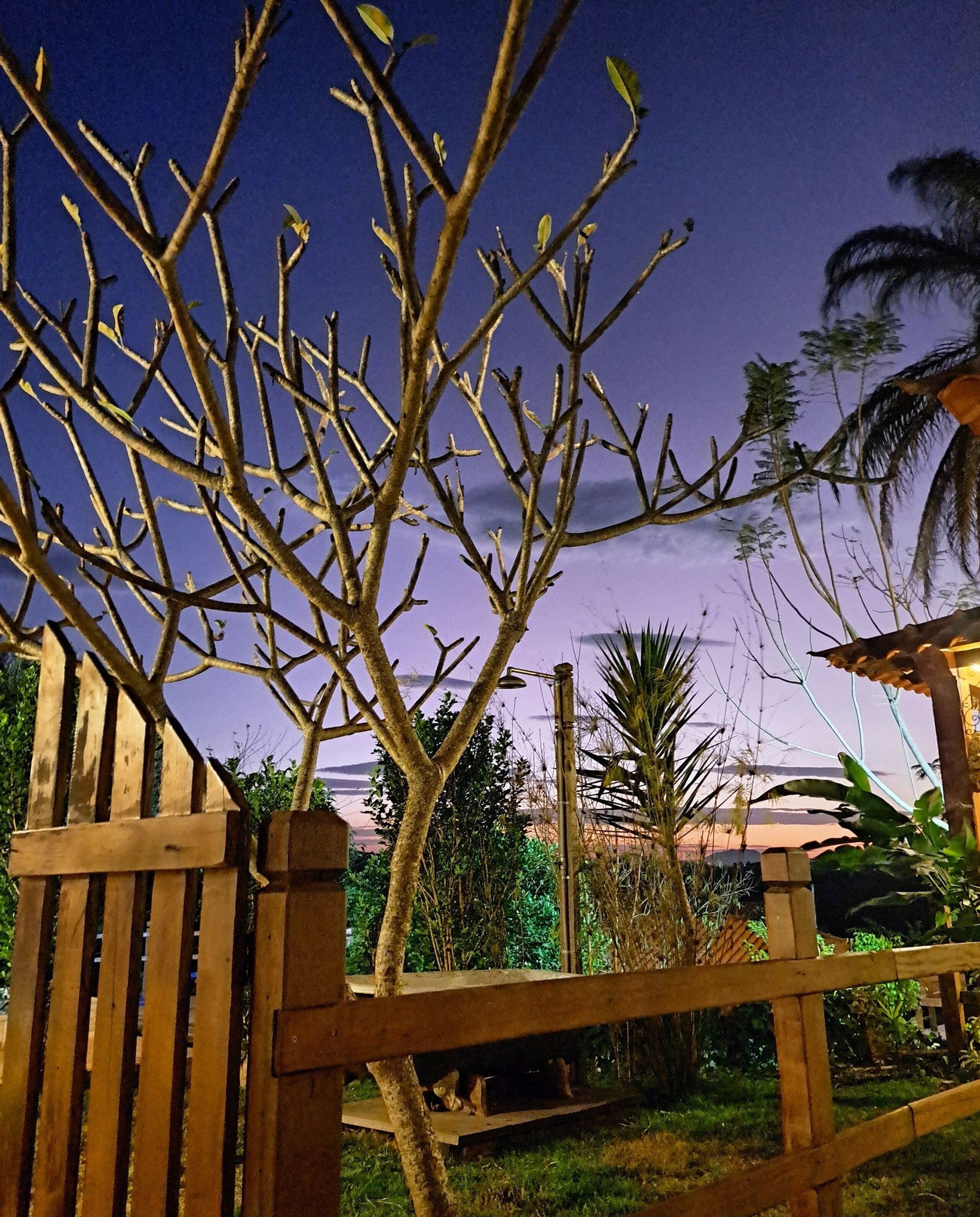 Une porte en bois avec un arbre en arrière-plan.