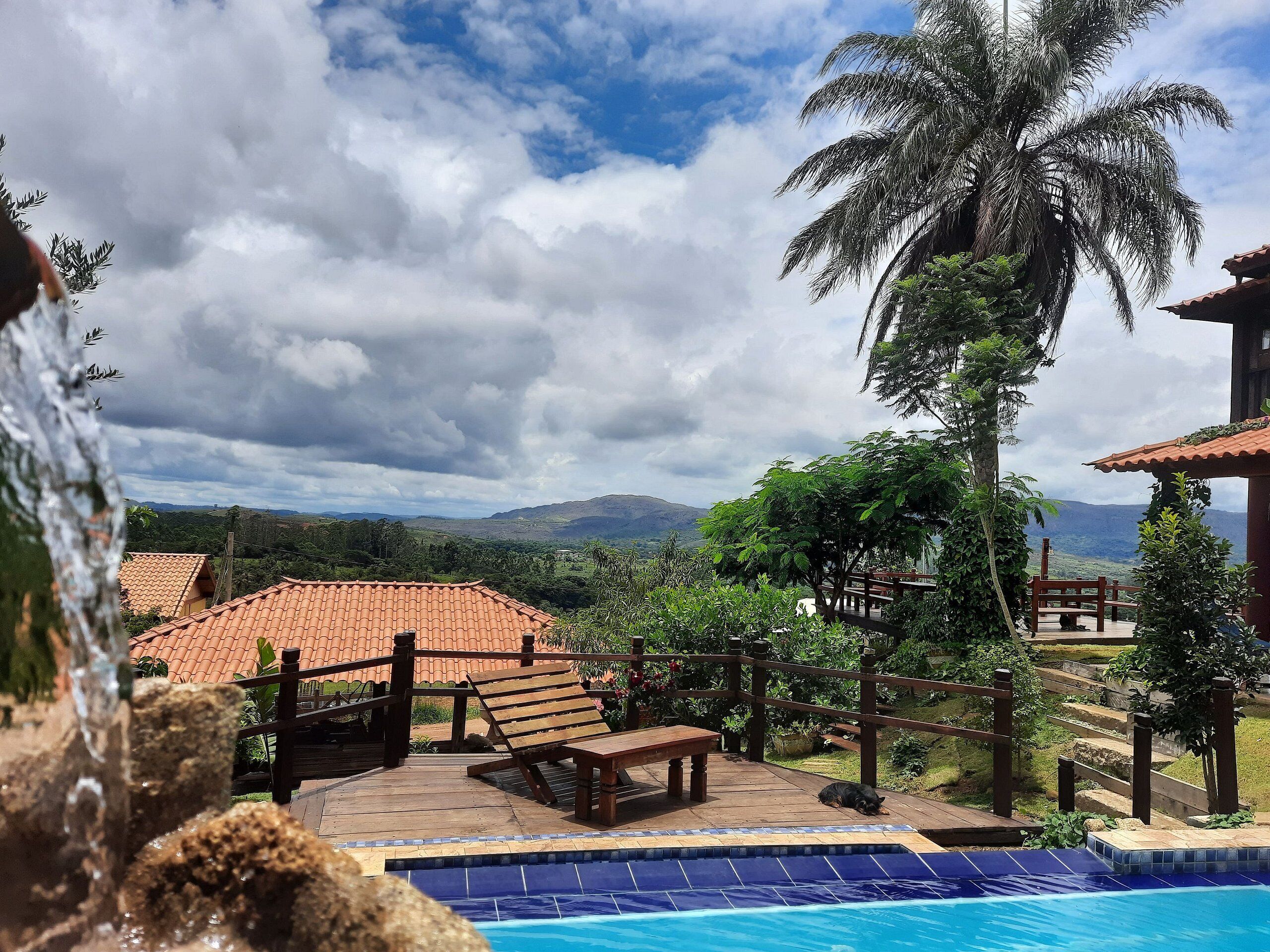 Un área de piscina con terraza de madera, un banco y una palmera.
