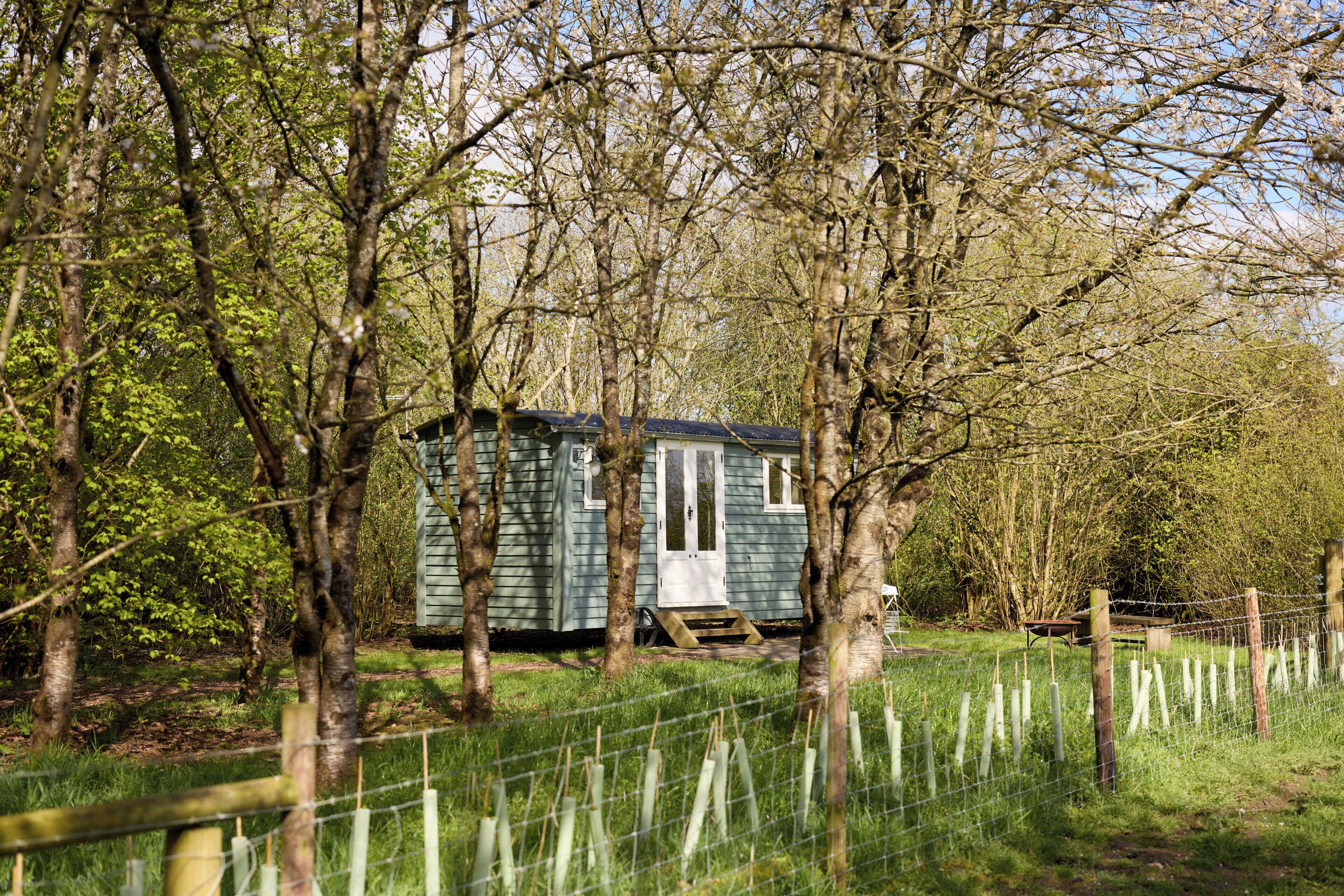 Exclusive Cabin | Front of property