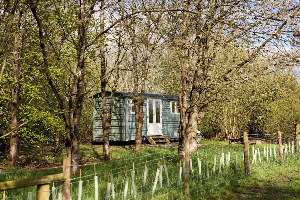 A small, single-story cabin surrounded by trees, with a wooden fence in the foreground.