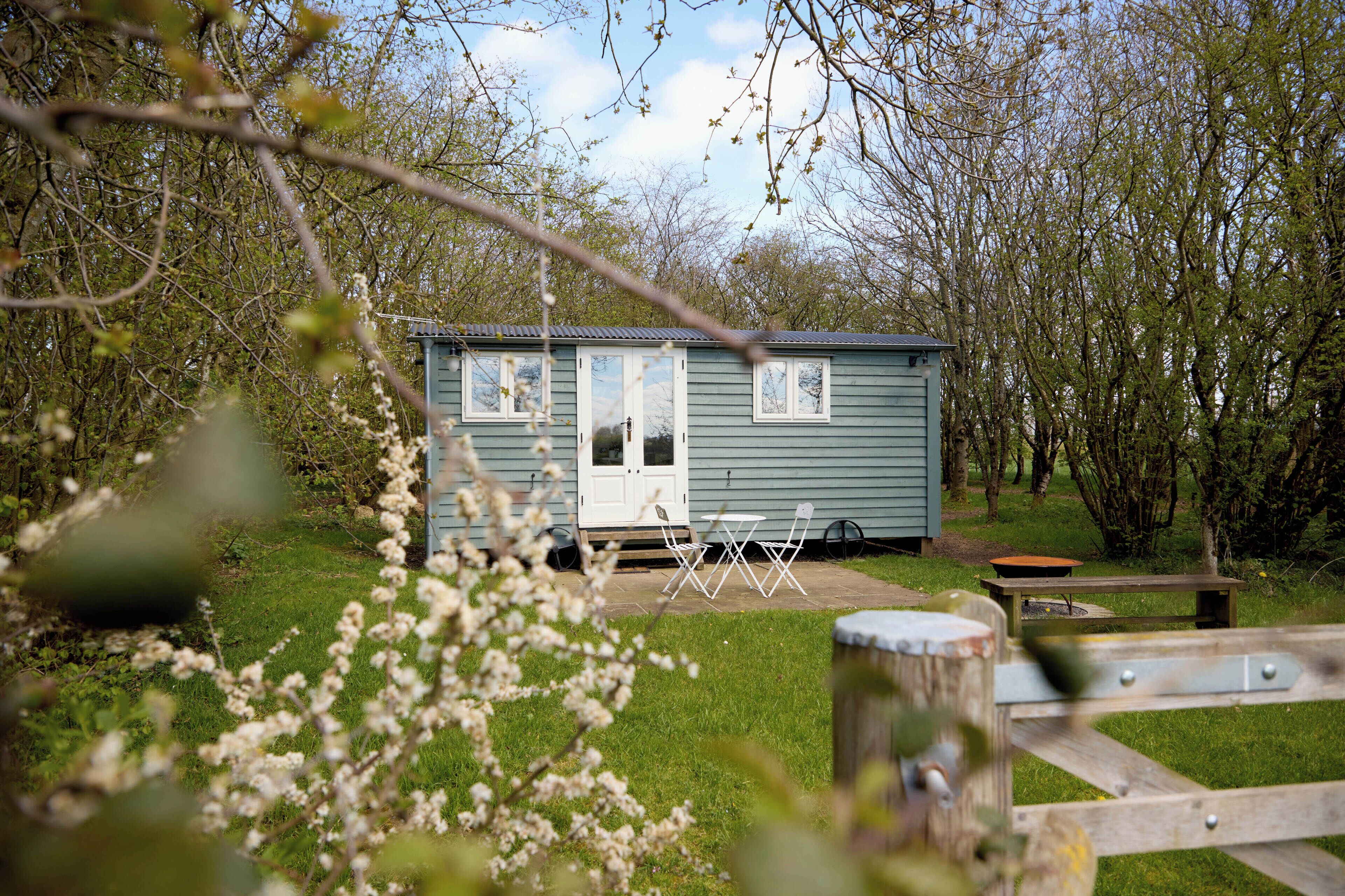 Exclusive Cabin | Terrace/patio