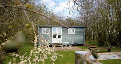 Great Ashley Farm Cottage and Shepherds Huts.
