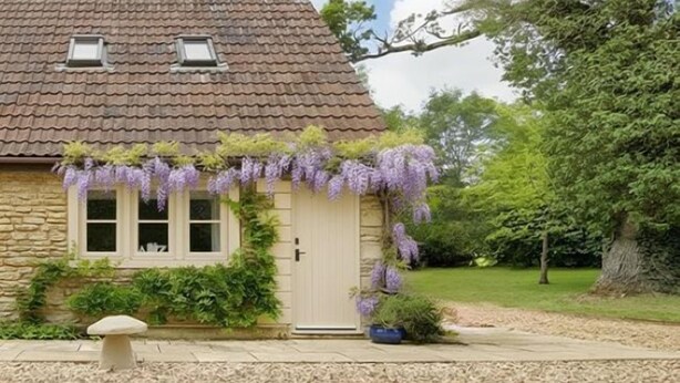 Ein Steinhaus mit einem Ziegeldach, einer Haustür und einem kleinen Veranda mit lila blühenden Pflanzen.