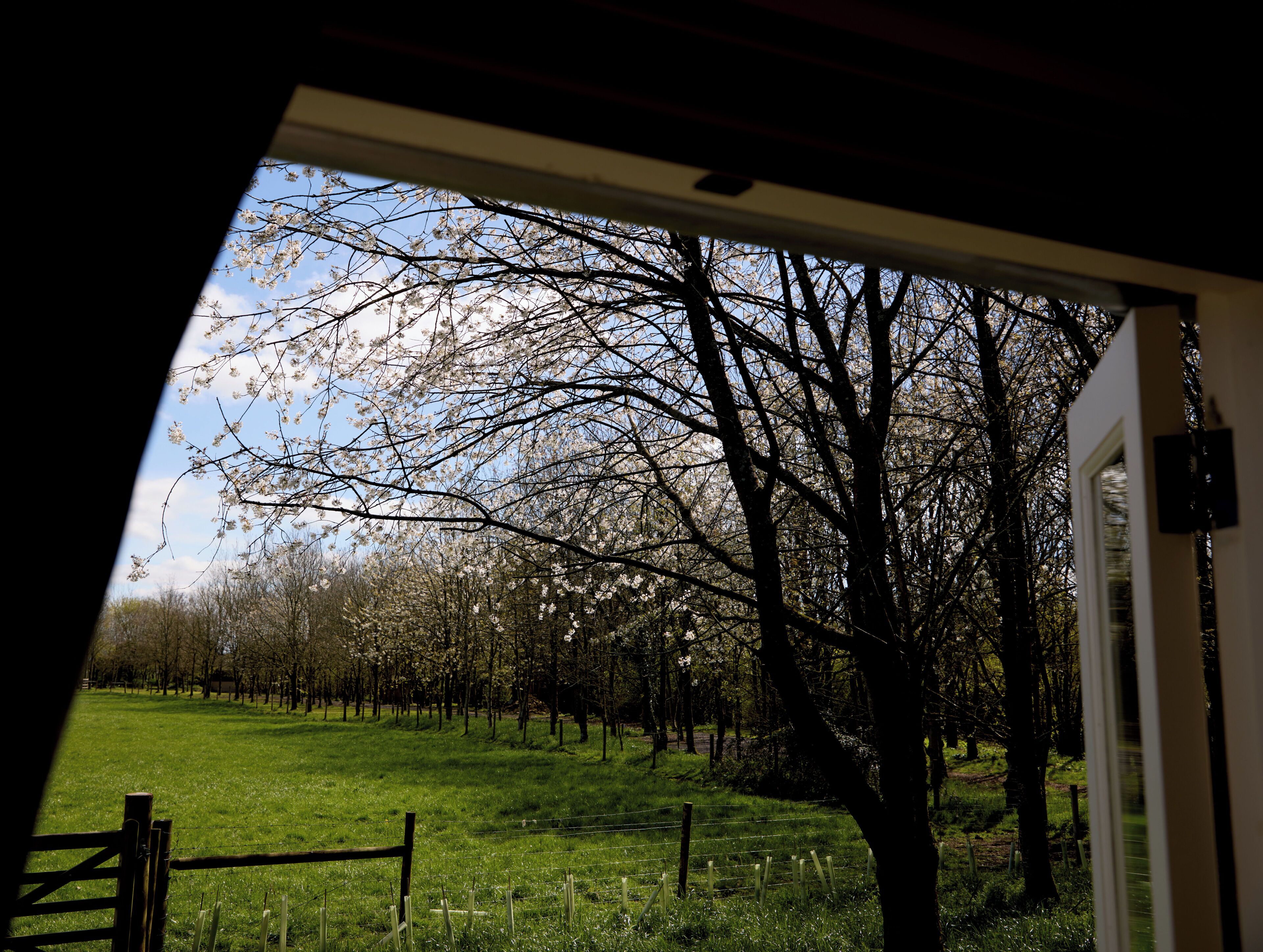 Photo - Great Ashley Farm Shepherds Huts and Cottage