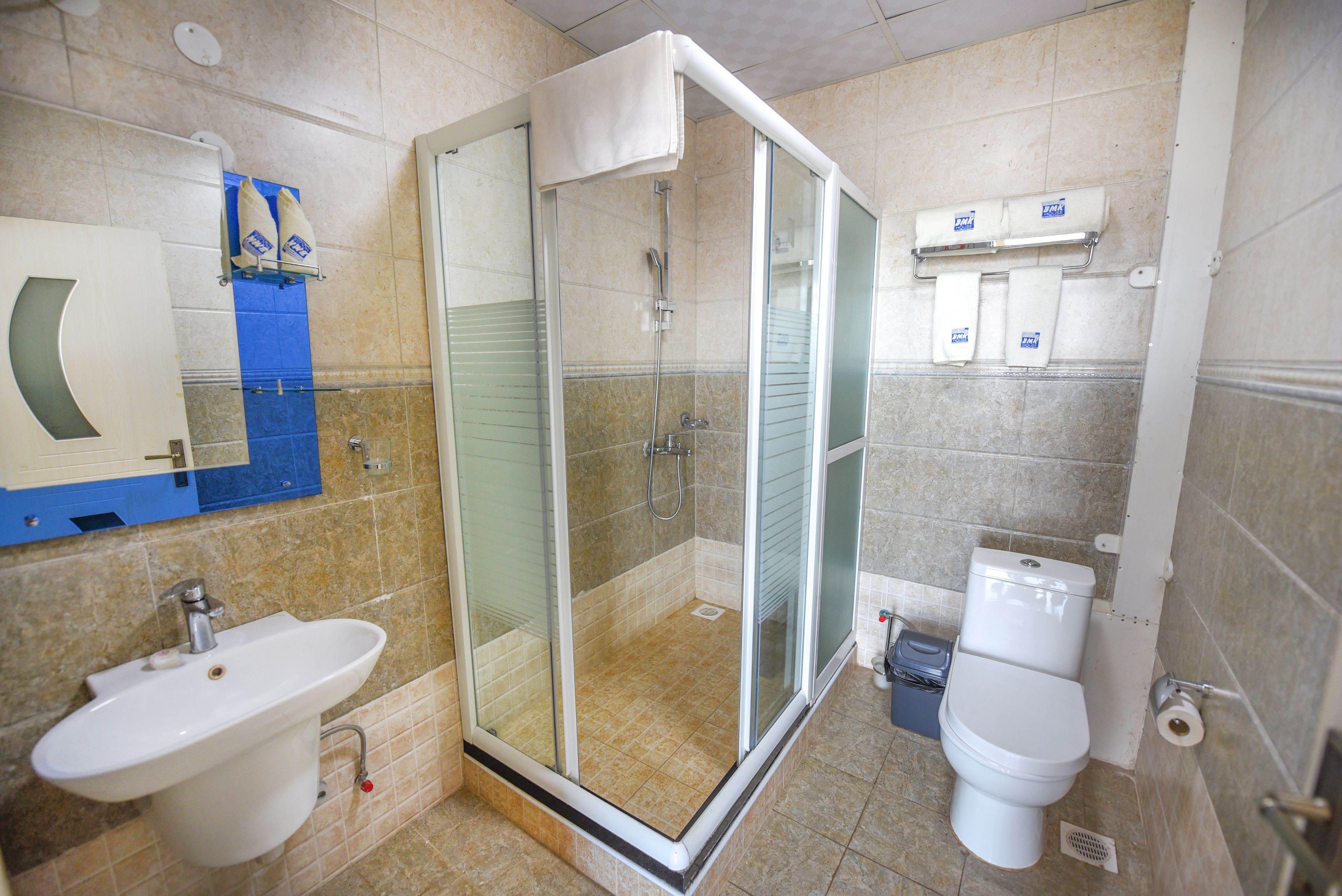 A bathroom with a glass-enclosed shower, a sink, and a toilet.