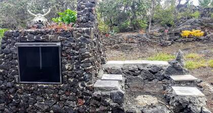 Off grid house with almost 100 fruit and veg plants, close to green sand beaches