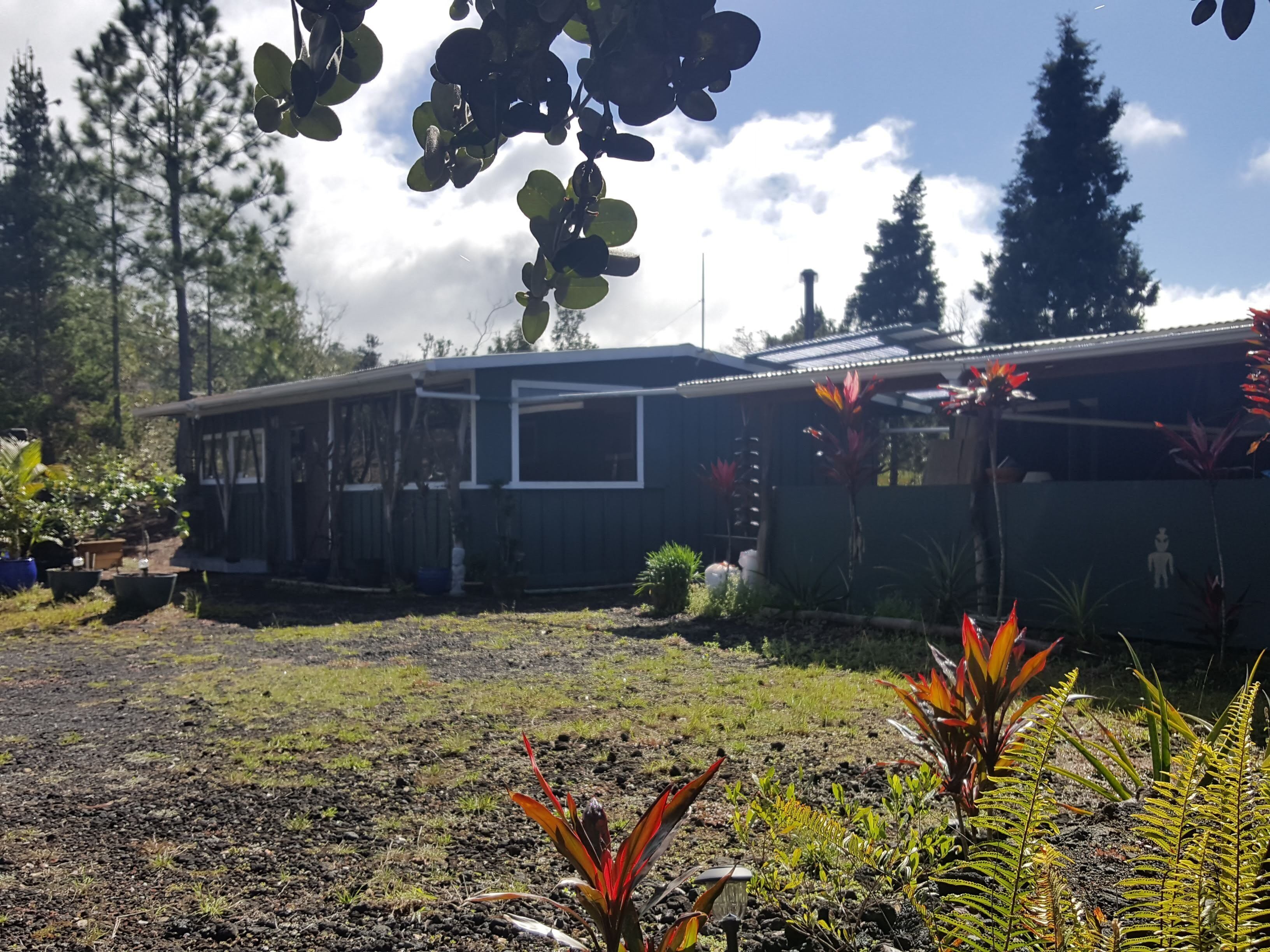 Off grid house with almost 100 fruit and veg plants, close to green sand beaches