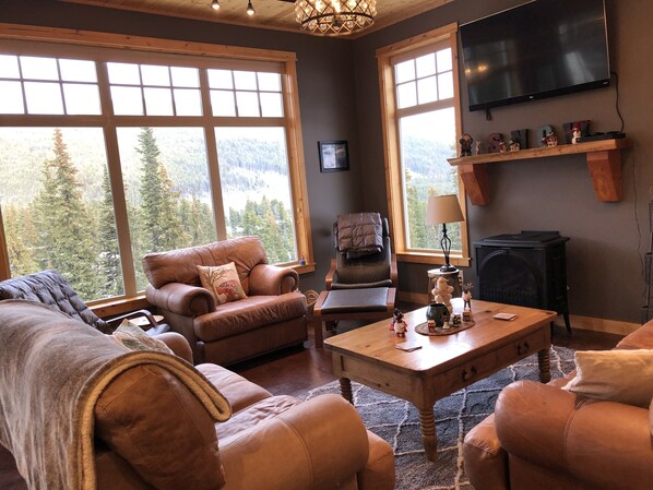 Smart TV, fireplace, DVD player, books