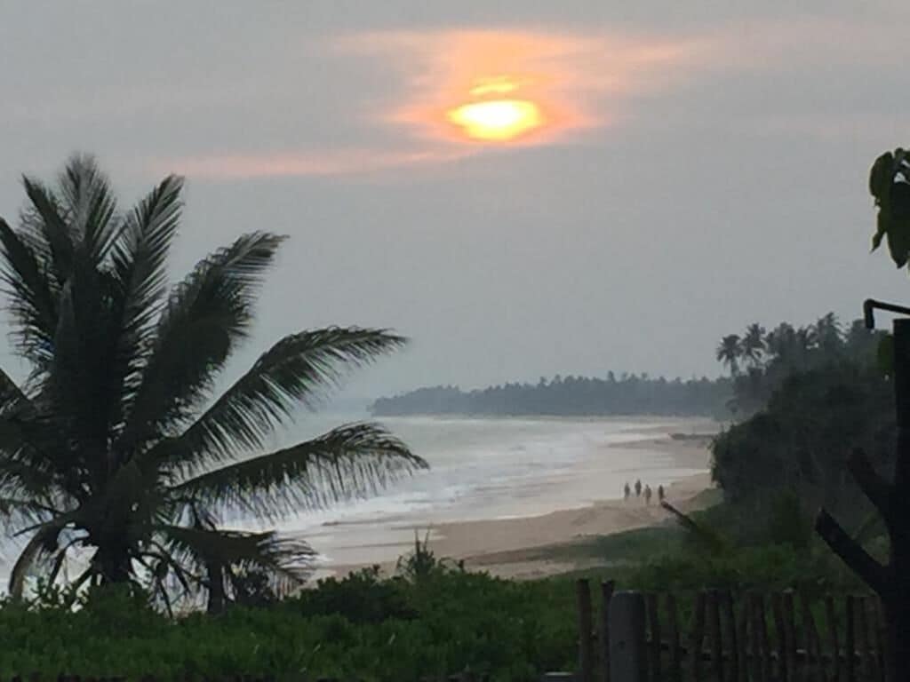 Une scène de plage avec des palmiers et un coucher de soleil.