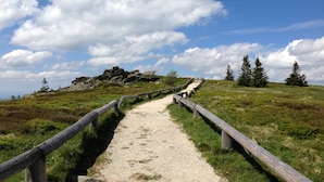 A gravel path with wooden railings leading to a rocky outcrop under a clear sky.