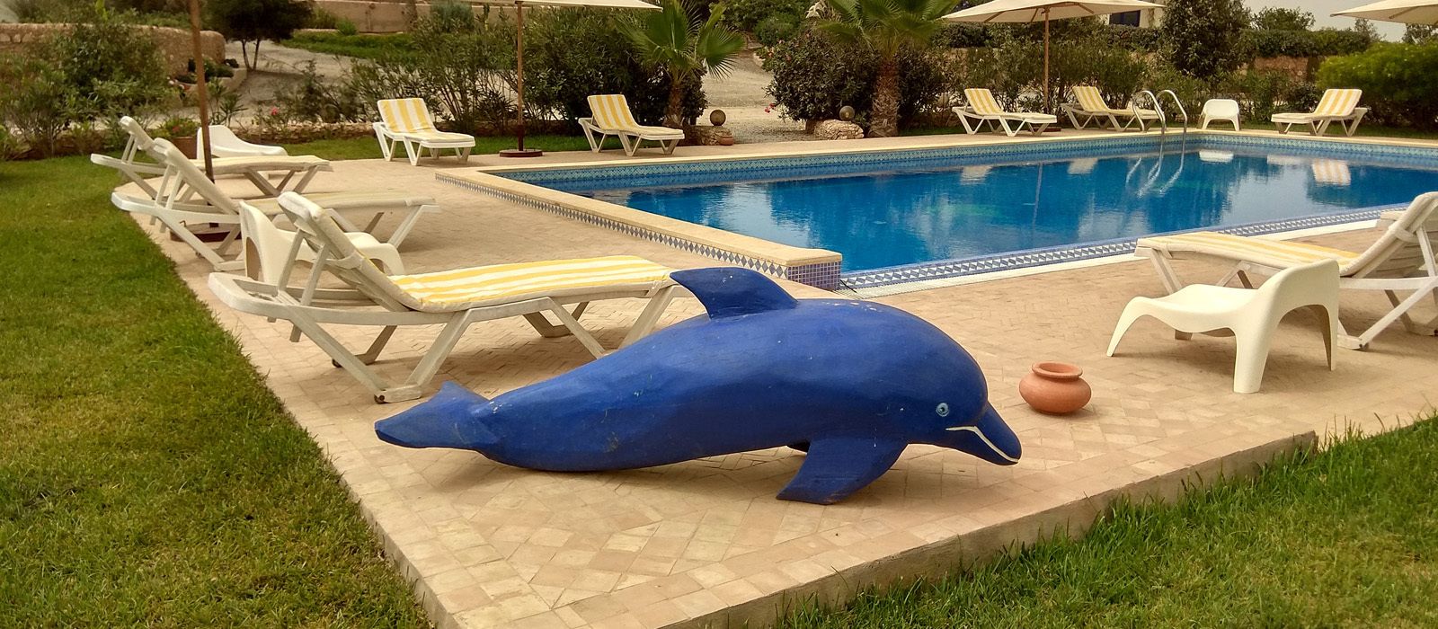 Piscine extérieure
