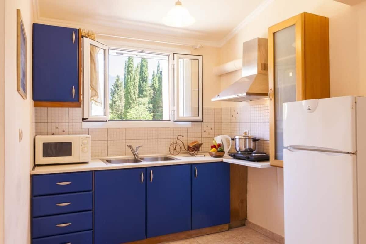 Apartment, Balcony | Private kitchen