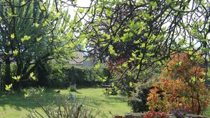 Un jardín con diversas plantas y una estatua.