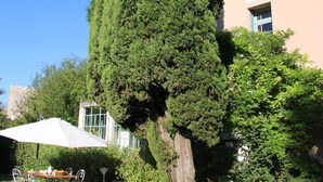 Un jardín con un alto árbol de hoja perenne, un patio con mobiliario exterior y un edificio con techo de tejas al fondo.