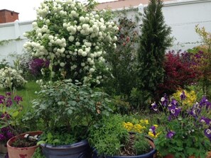 Jardin
