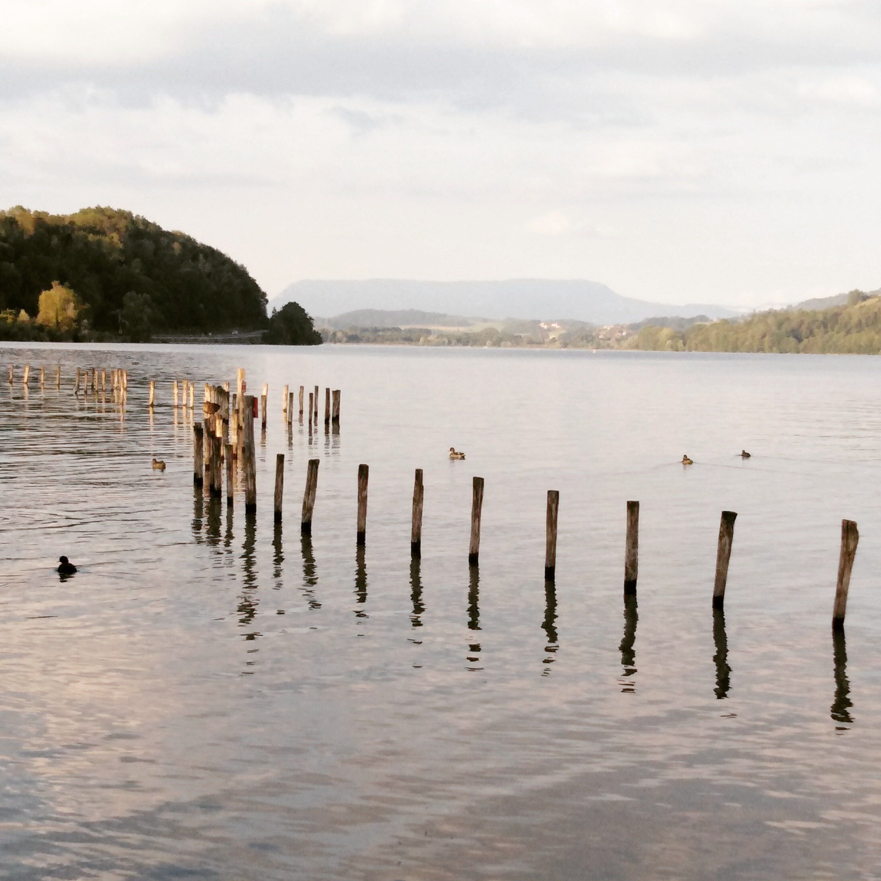 Un lago tranquillo con pali di legno nell'acqua, circondato da colline e alberi.