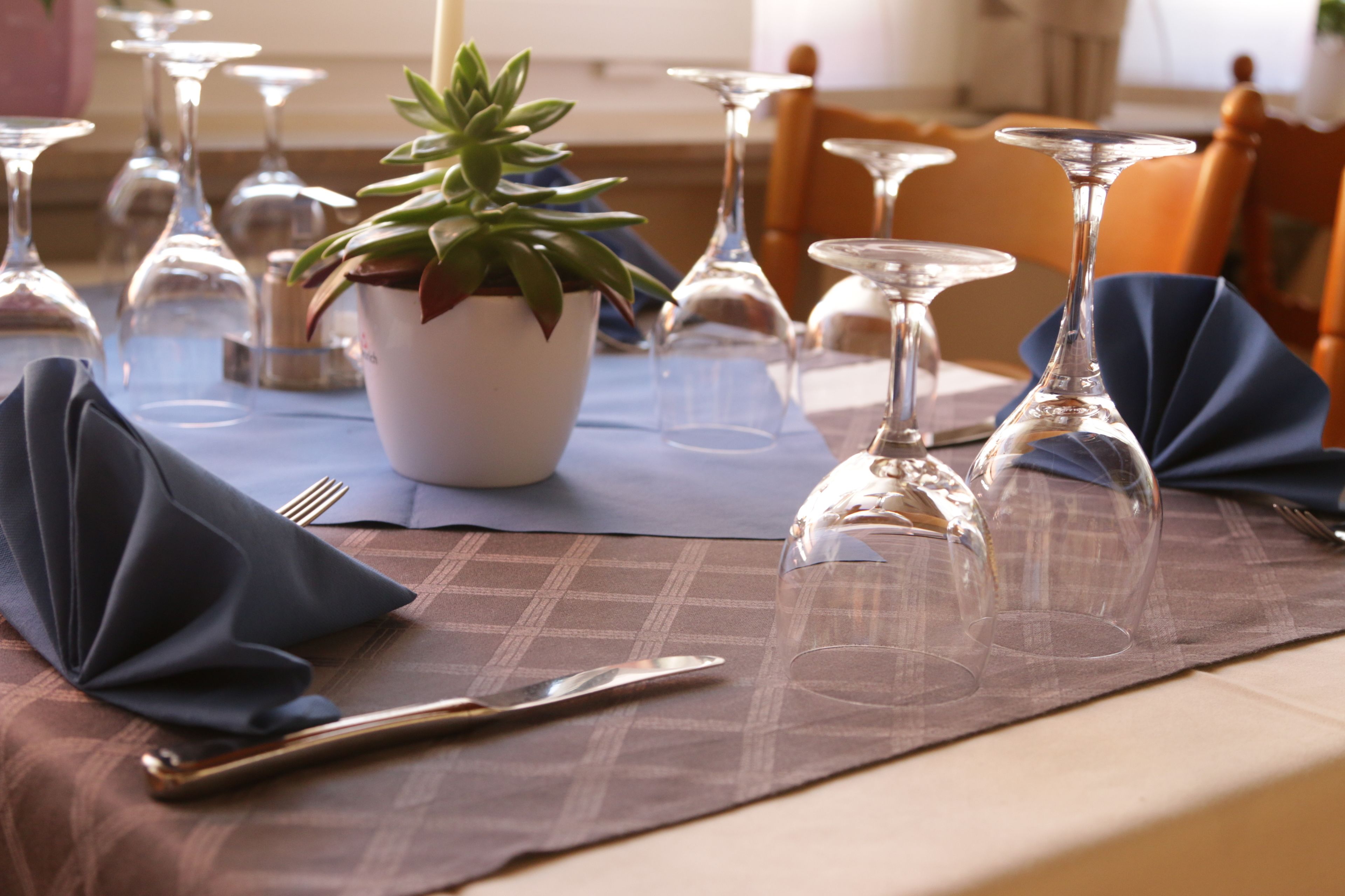 A dining table set with wine glasses, a knife, and a potted plant.