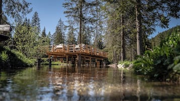 Una estructura de fusta sobre l'aigua, envoltada per un bosc dens.