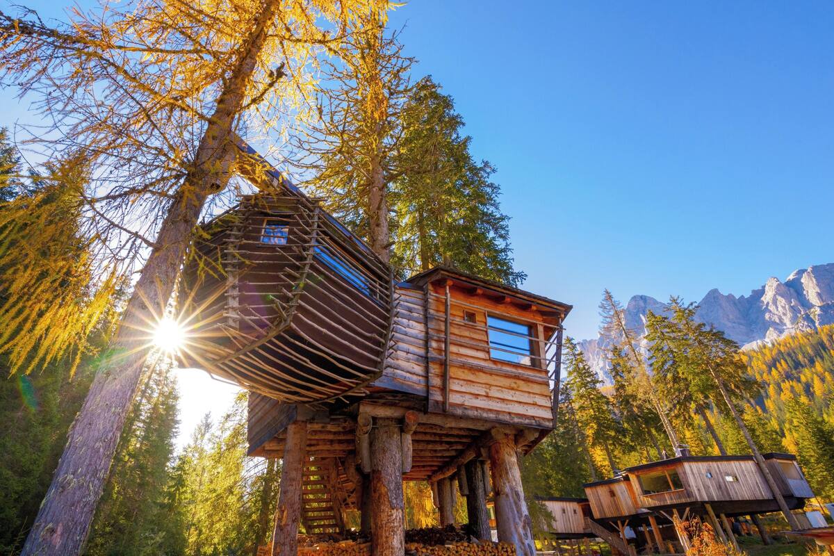 Superior Tree House, 1 Bedroom | View from room