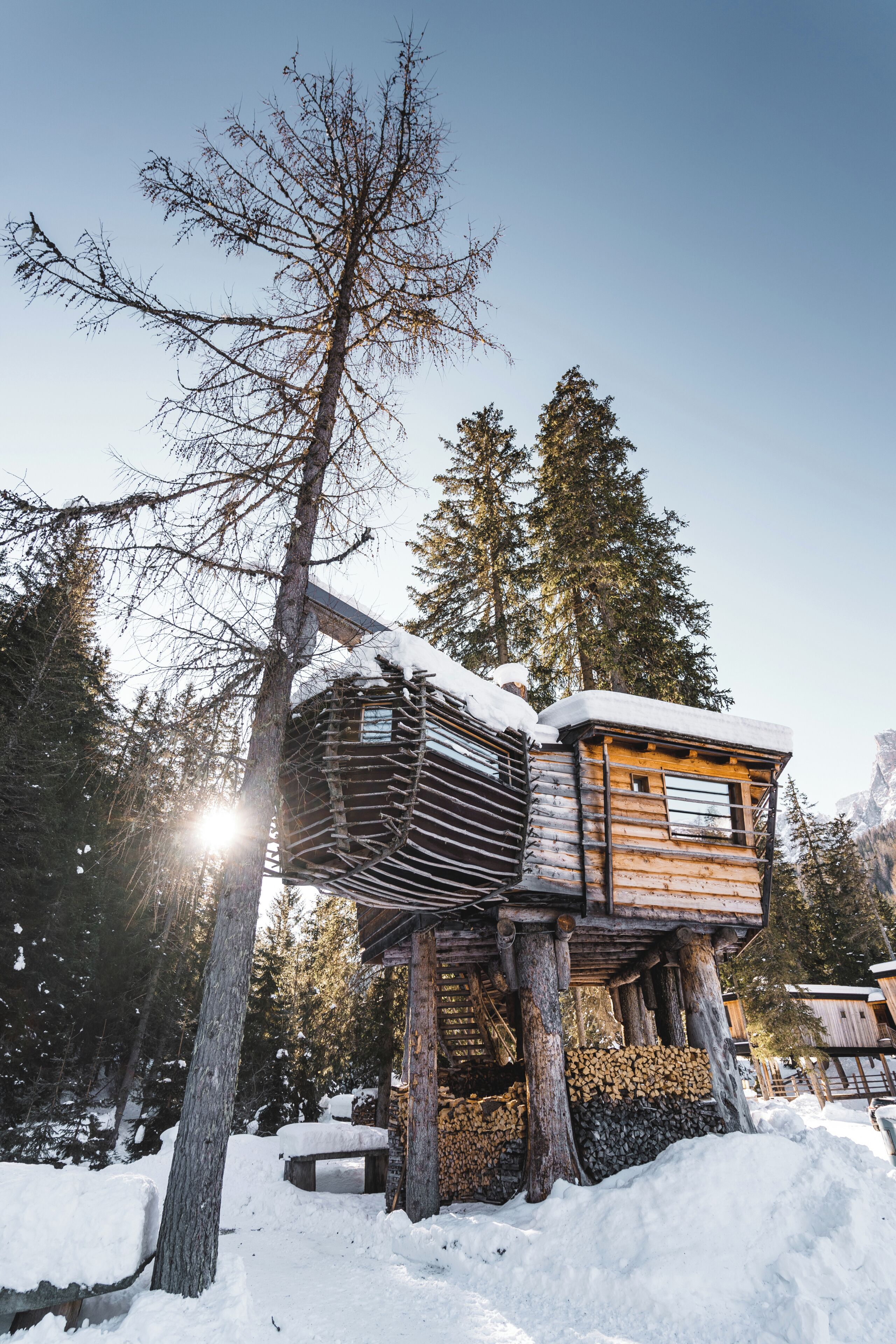 A wooden cabin elevated on stilts in a snowy forest.