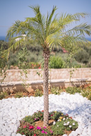 Property grounds - Marjorie Villa (Chania)