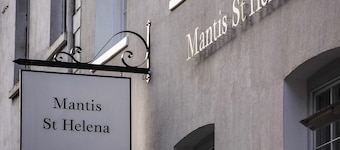 Mantis St Helena