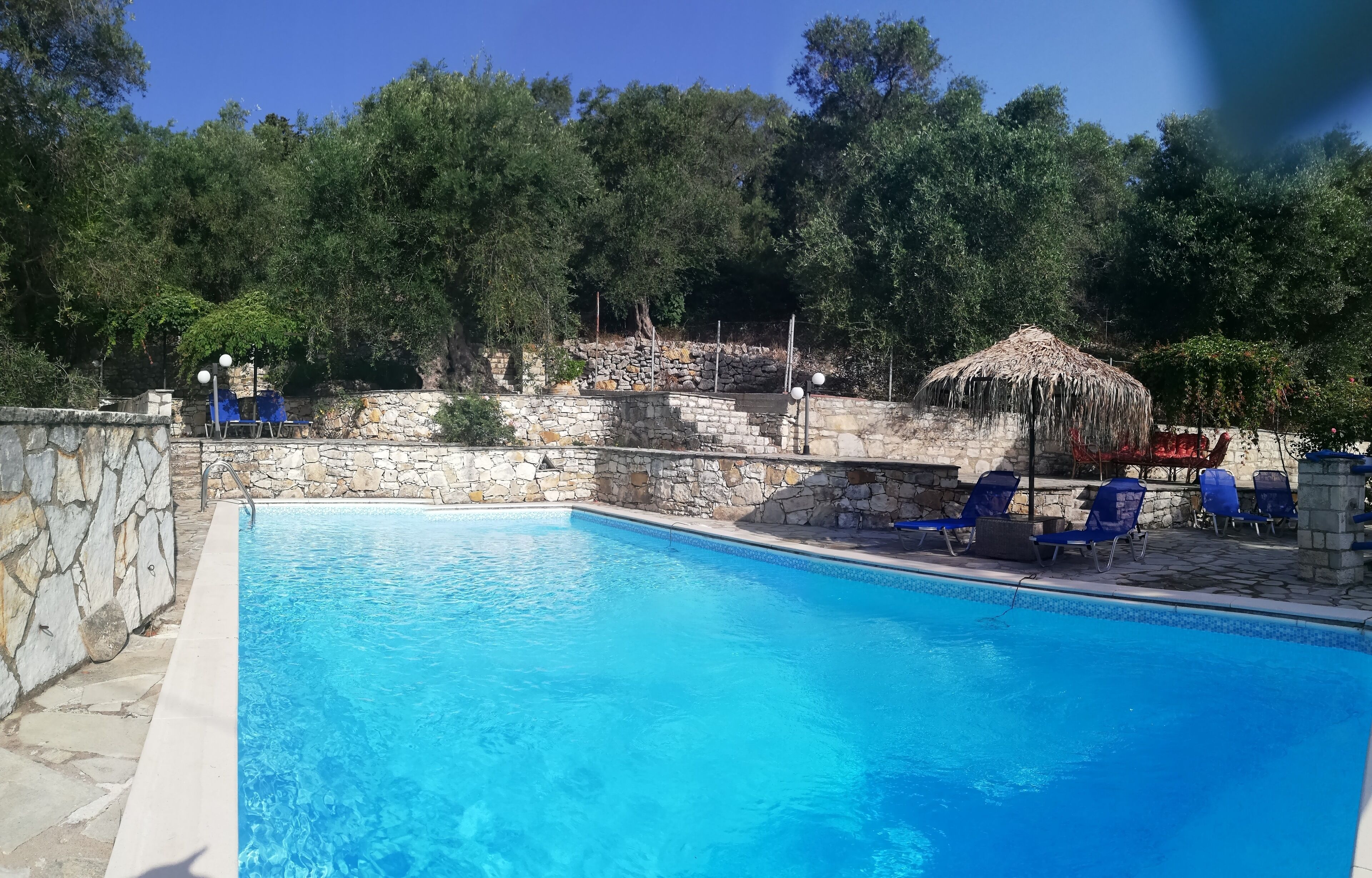 Piscine extérieure, chaises longues