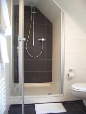 A bathroom with a glass-enclosed shower, a toilet, and a small mat on the floor.