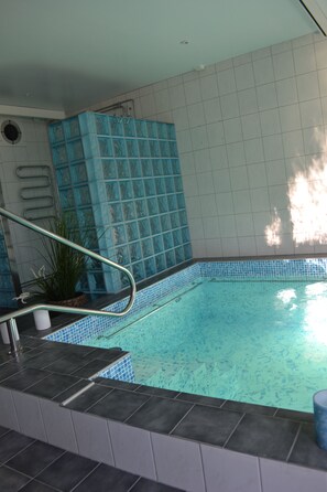 A swimming pool with a tiled edge, a metal handrail, and a potted plant. - Mellanfjardens Pensionat (Jättendal)