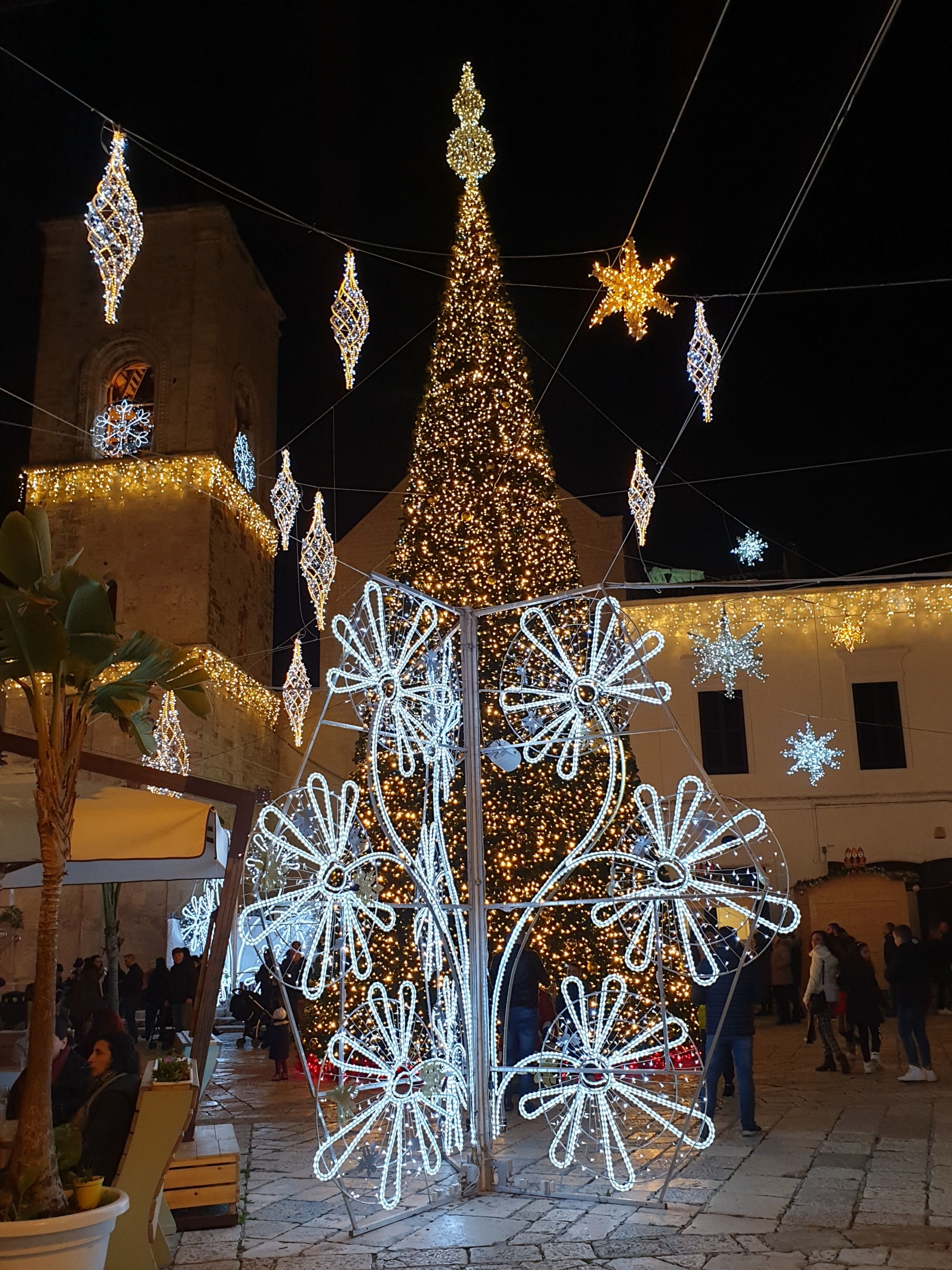 A decorated Christmas tree with lights and ornaments, surrounded by benches and a building in the background.