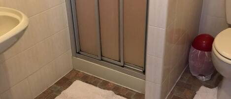 Une salle de bain avec douche, toilettes et lavabo.