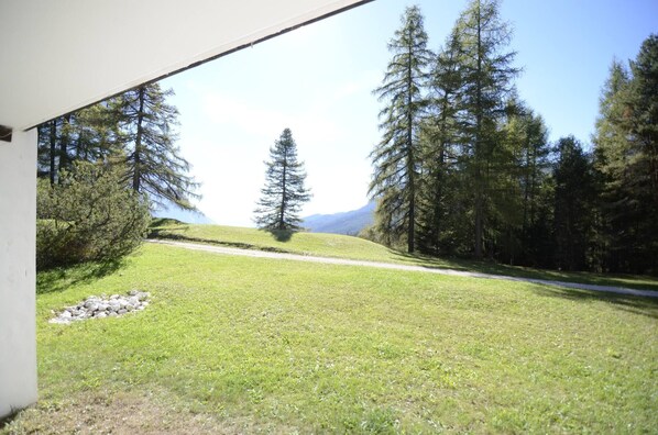 Vista desde la propiedad