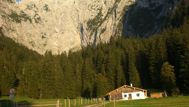 Une maison rustique en bois, dotée d’un toit à pente, entourée d’un champ clôturé et d’une forêt dense.