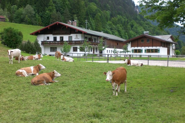 A white building with a balcony, surrounded by a grassy field and trees.