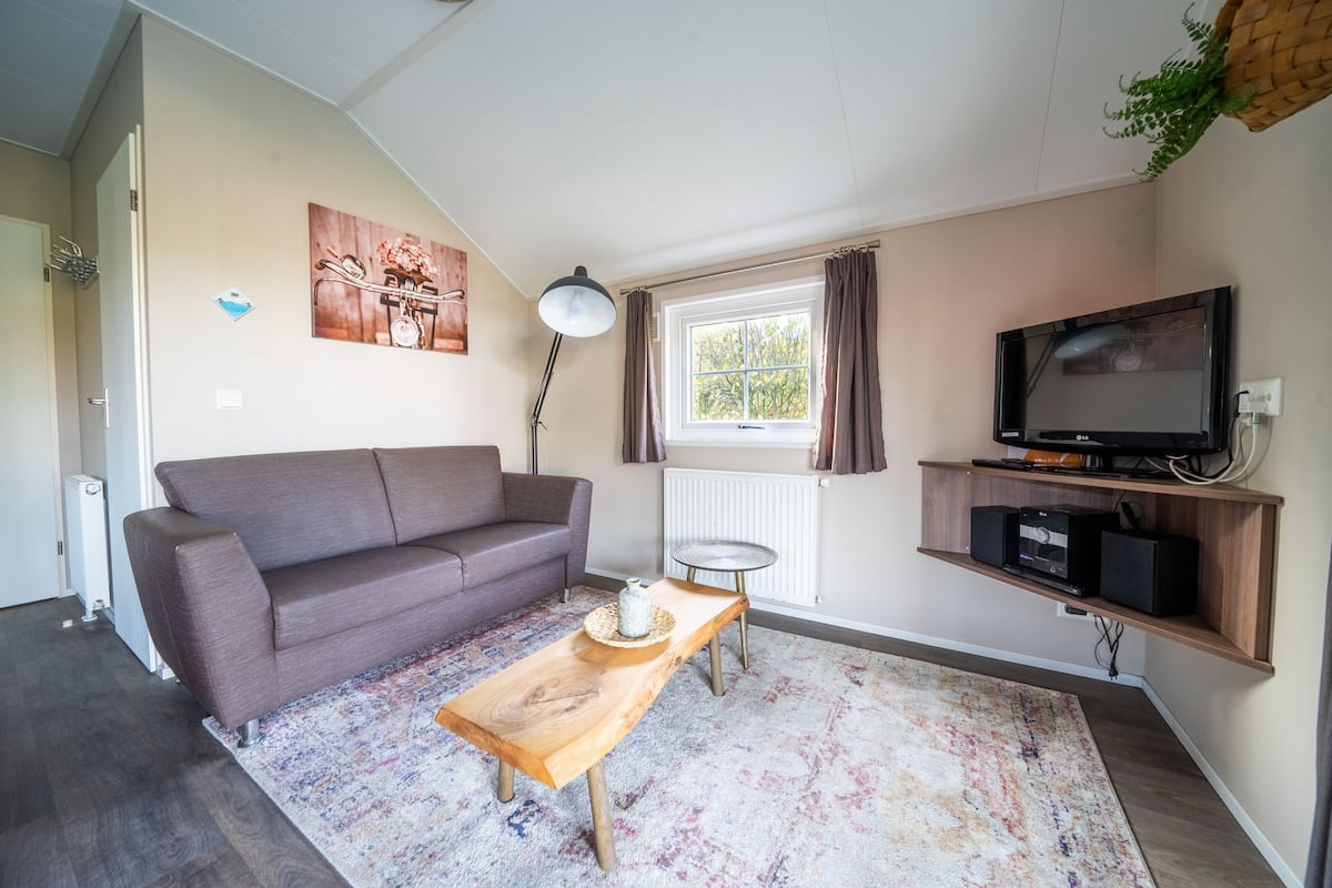 Un salon avec un canapé, une table basse, un téléviseur et un radiateur.