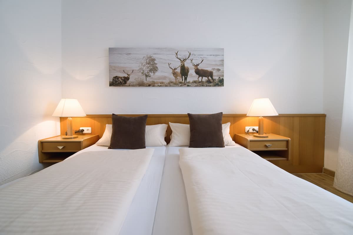 Desk, free WiFi, bed sheets
