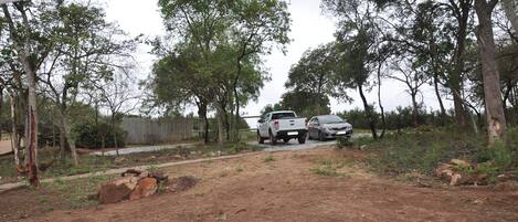 A dirt path leading to a white pickup truck parked near a fence with trees on either side.
