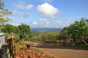 Stroll through a serene natural landscape along a paved pathway surrounded by lush vegetation and rolling hills.