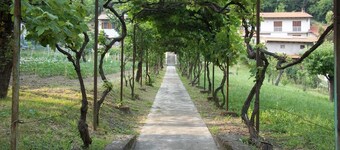 Affittacamere Il Tiglio