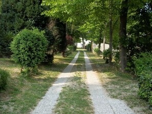 Jardín