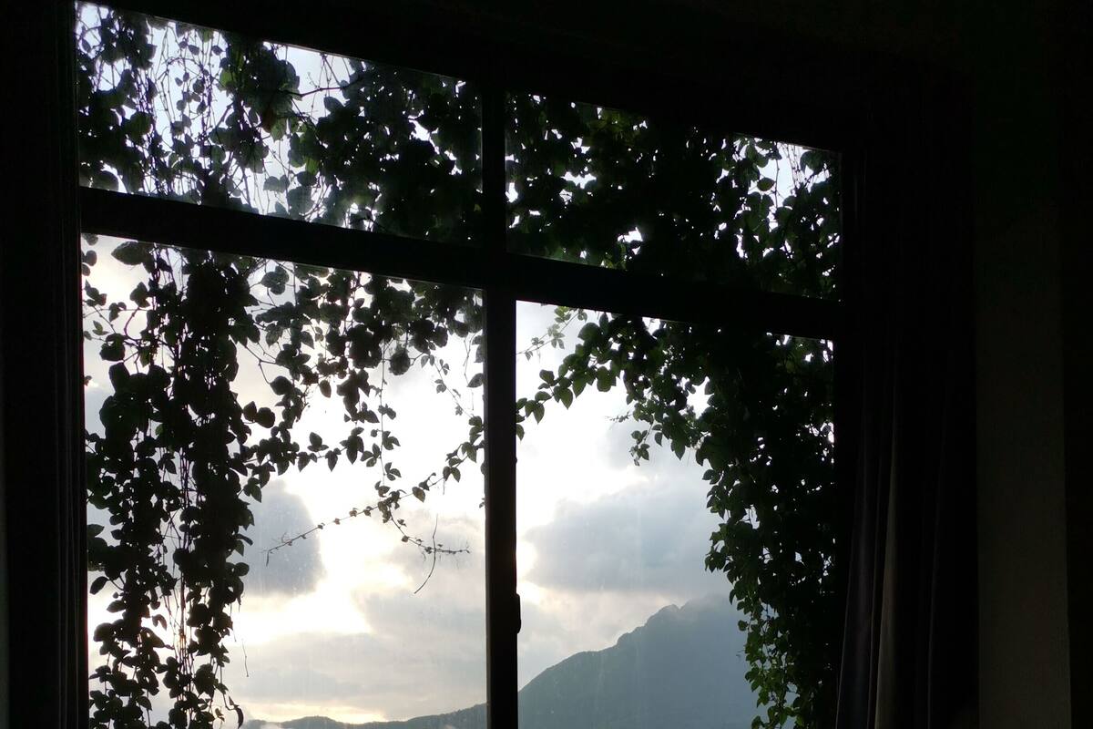 Ropa de cama de alta calidad, cortinas blackout y wifi gratis