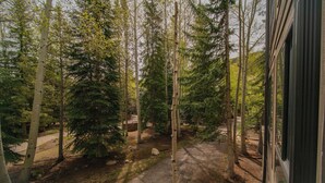 设计开间, 1 张大床和 1 张沙发床, 度假村景观 (Slopeside 2733) | 客房景观