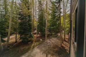 Studio – design, 1 queensize-seng med sovesofa, resort-utsikt (Slopeside 2733) | Utsikt fra rommet