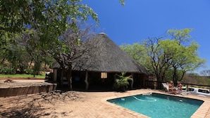 A swimming pool with a thatched-roof building nearby.
