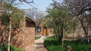 A stone building with a wooden door, surrounded by greenery and a paved path.