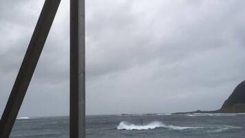 Beach/ocean view