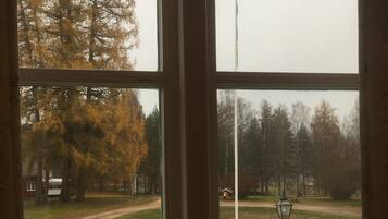 A window with a view of a park, a dirt path, and a lamp post.