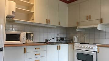 Family Apartment | Private kitchen | Fridge, microwave